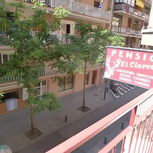  Pensjonat El Ciervo